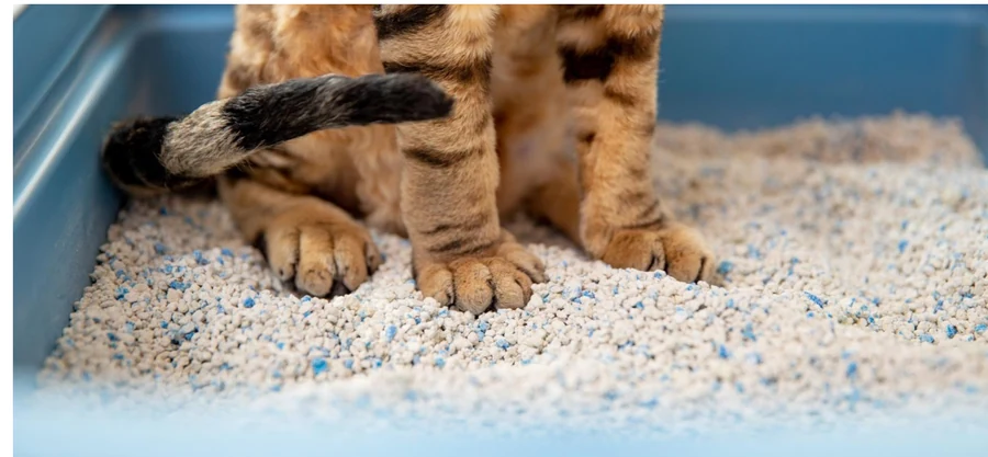 EzoAnimals za životinje