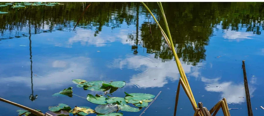 EZOAqua — tretman jezera i fontana