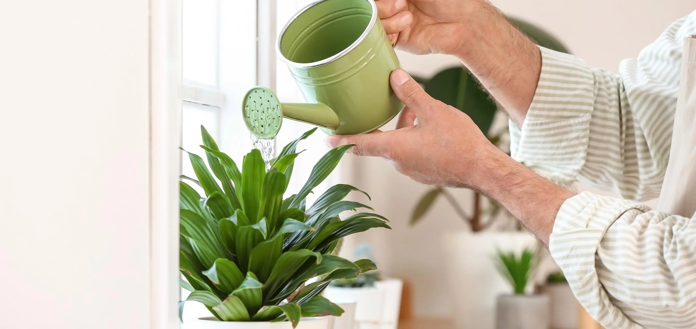 EzoPlants Liquid za sobne biljke